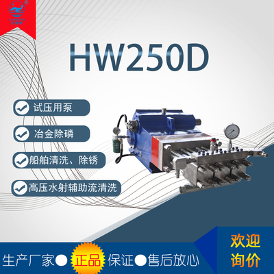 HW250D鋁模板清洗用泵