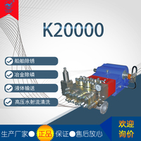 K20000 冶金除磷泵