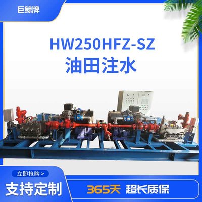 HW250HF-SZ油田注水泵